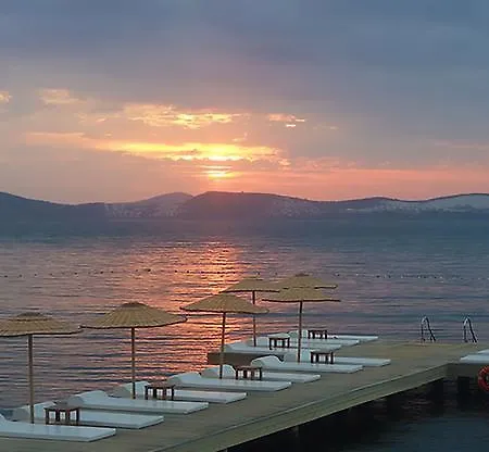 Horizon Sky Cherry 1 * Kıyıkıslacık