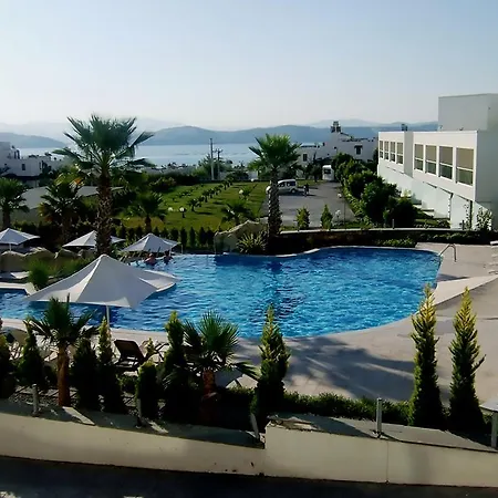 Horizon Sky Cherry 1 Kıyıkıslacık