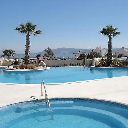 Horizon Sky Cherry 1 * Kıyıkıslacık